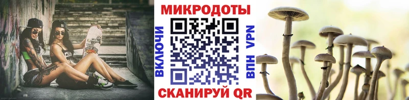 Псилоцибиновые грибы мицелий  Купить  Баймак 